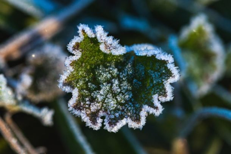 Foz do Iguaçu registra 3,3°C e sensação térmica de 2°C na manhã desta segunda-feira