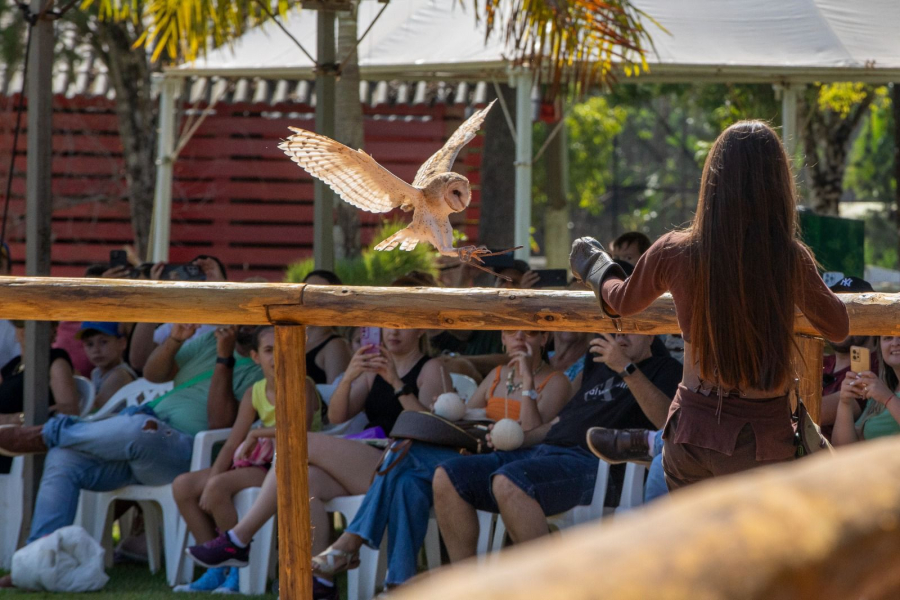 Dreams Park Show e Zoo Park são opções de diversão nas férias de julho em Foz do Iguaçu 