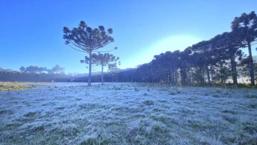 Primeira semana do inverno deve trazer frio rigoroso e mínimas próximas dos 5°C