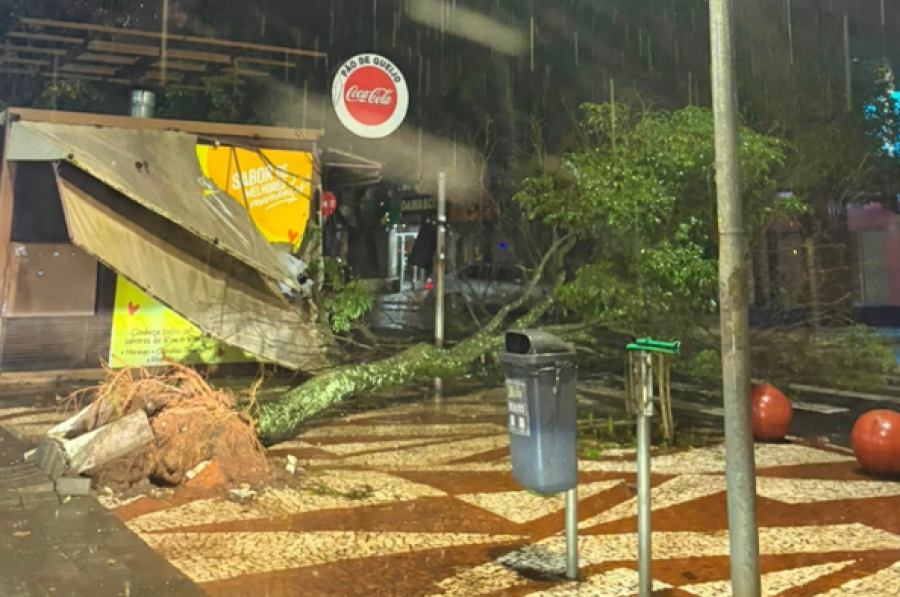 Temporal provoca alagamentos em vários bairros e derruba árvore na Avenida Brasil