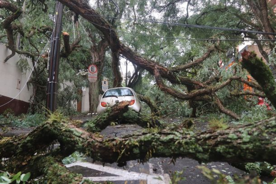 Defesa Civil se prepara para meses de chuva forte, vendavais e risco de alagamentos