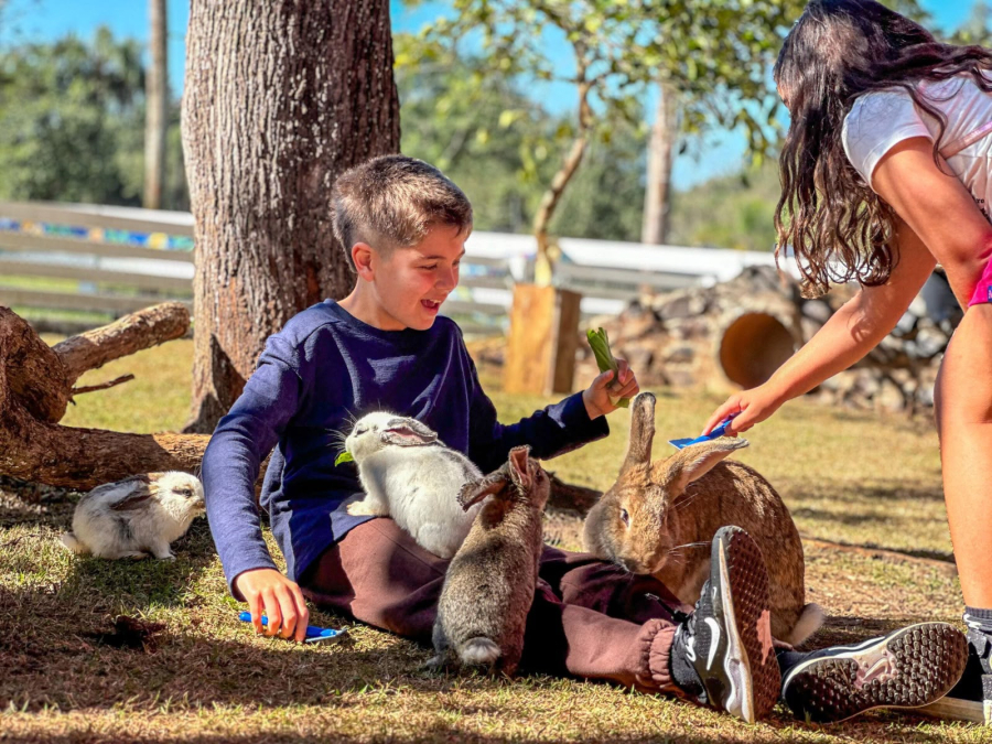 Dia do Cuidador: Zoo Park Foz prepara programação especial para o Dia das Crianças